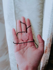 MẶT TAM VỸ HỒNG