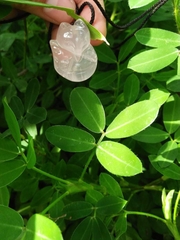 MẶT TAM VỸ TRẮNG