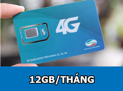 Sim 4G Viettel D120 khuyến mại 12GB/tháng