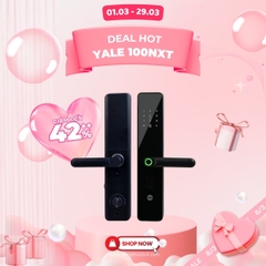 Khóa Cửa Vân tay Yale YDME 100NxT