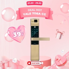 Khóa Thông Minh Yale YDM 7116A CG (YDM7116A CG/ YDM7116ACG)