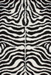 JOY 114 - ZEBRA