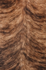 Thảm da bò brazil 05