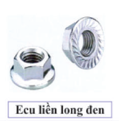 Ecu, đai ốc, đệm vênh, đệm phẳng