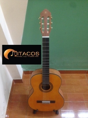 Đàn Guitar Classic Chơi Độc Tấu