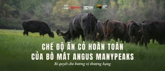 Chế Độ Ăn Cỏ Hoàn Toàn Tự Nhiên Của Bò Mát Angus ManyPeaks – Bí Quyết Cho Hương Vị Thượng Hạng