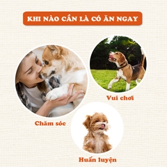Sợi gà sấy dẻo Doggyman 80gr