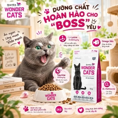 THỨC ĂN HẠT Wonder Cats All Life Stages 1kg