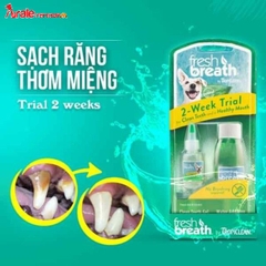 BỘ MINI KIT VỆ SINH RĂNG MIỆNG CHO CHÓ TROPICLEAN