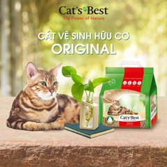 CÁT GỖ VỆ SINH ORIGINAL