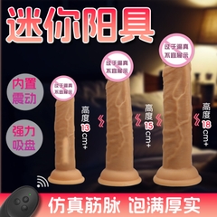 Dương Vật Giả Cỡ Nhỏ 2.5x12cm Có Rung