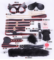 Bộ Đồ Chơi Phòng The BDSM 16 Món Kèm Vali - BD32