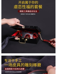 Bộ Đồ Chơi Phòng The BDSM 16 Món Kèm Vali - BD32