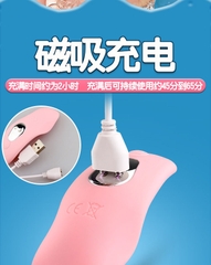 Máy Rung Gắn Đồ Lót Xài Nơi Công Cộng - TR99