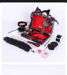 Bộ Đồ Chơi Phòng The BDSM 16 Món Kèm Vali - BD32