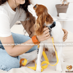 Dây Dắt Cho Chó Mèo Đa Năng Pettiquette