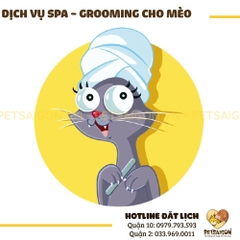 DV Spa & Grooming Cho MÈO