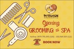 Tắm Cắt Lông Chó Mèo Dịch Vụ Lẻ Spa-Grooming