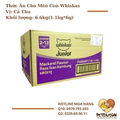 Thức Ăn Cho Mèo Whiskas