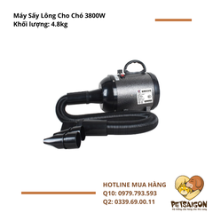 Mấy Sấy Lông Cho Chó 3800W