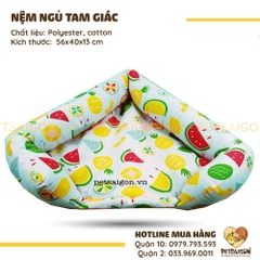 Nệm Cho Chó Mèo Hình Tam Giác