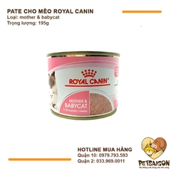 Pate Cho Mèo Mẹ & Mèo Con Royal Canin Mousse Mother & Babycat 195g