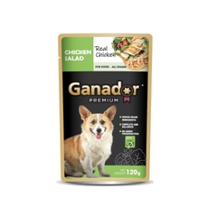 Pate Cho Chó Ganador Dạng Xốt 120g