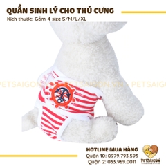 Quần Sinh Lý Cho Chó Mèo