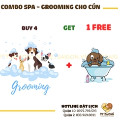 Combo Spa-Grooming Cho CÚN 4 Tặng 1