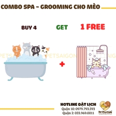 Combo Spa-Grooming Cho MÈO 4 Tặng 1