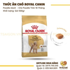 Thức Ăn Cho Chó Poodle Trên 10 Tháng Royal Canin Poodle Adult