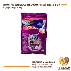 Thức Ăn Hạt Cho Mèo Con Whiskas Vị Cá Thu & Sữa