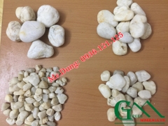 sỏi màu trắng