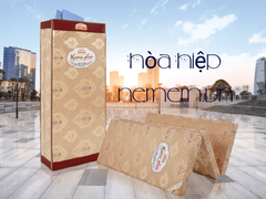 Nệm bông gai magasss