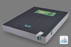 Nệm cao su dầu cọ