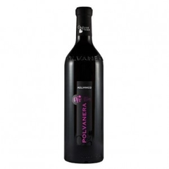 RƯỢU VANG Ý POLVANERA AGLIANICO