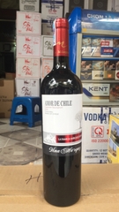 Rượu vang chile