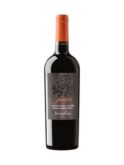 Rượu Vang Passione Primitivo del Salento Varvaglione Chính Hãng