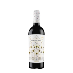 Rượu vang đỏ Ý NUMERO UNO 14.5%