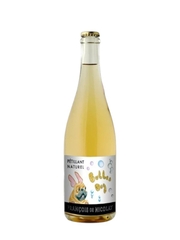 Rượu vang Francois de Nicolay Petillant Naturel Vin de France