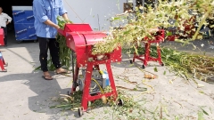 Máy băm cỏ 5TA (MC-5TA-01)