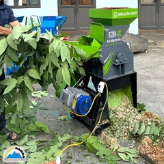 Máy băm xơ dừa B260-2C