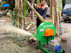 Máy Băm Chuối C600