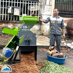 Máy băm xơ dừa B260-2C
