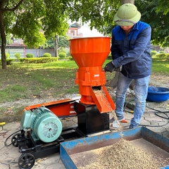 Máy Ép Cám Viên S250-4L