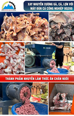 Máy Đùn Cá Công Nghiệp BQ200