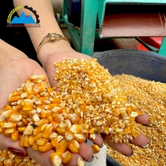 Máy Nghiền Ngô Vỡ Mảnh 1 pha