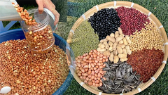 Máy rang hạt đa năng R30i-02