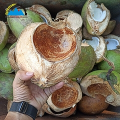 Máy Băm Rơm Dừa 1 Pha Cải Tiến