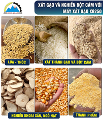 Máy Xát Gạo XG250